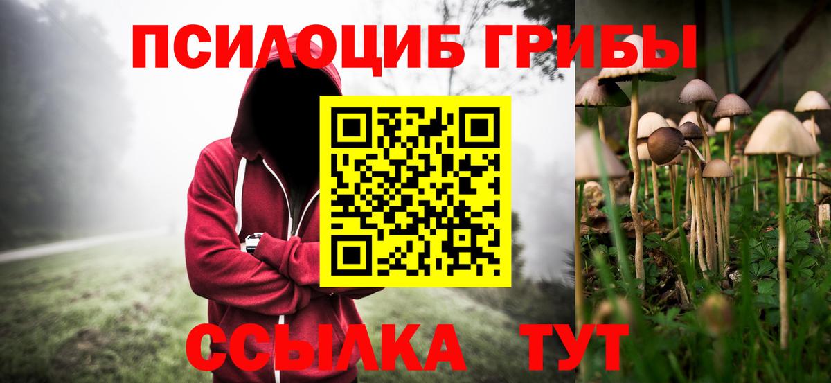 Псилоцибиновые грибы мухоморы Саянск