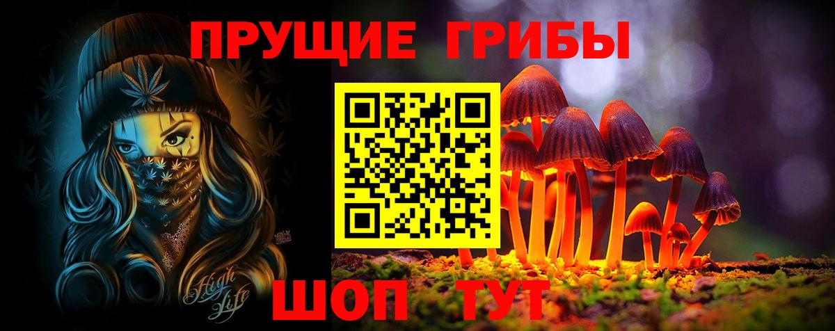Псилоцибиновые грибы Psilocybine cubensis  Галлюциногенные грибы GOLDEN TEACHER  Саянск  Вход с VPN 